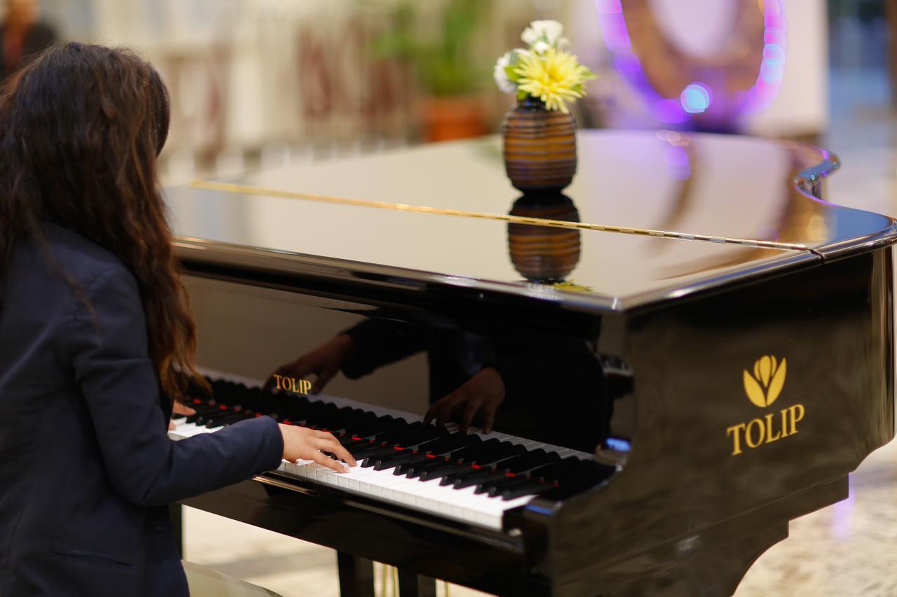 Tolip Family Park Hotel Káhira Exteriér fotografie A Tulip piano